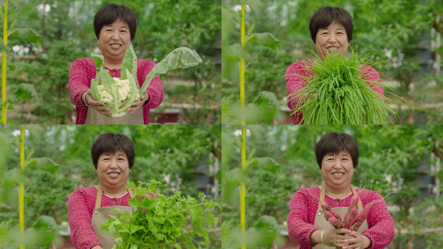 4K菜农丰收的幸福笑脸
