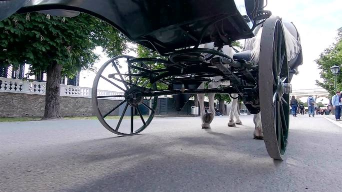 马车穿过维也纳的公园。奥地利