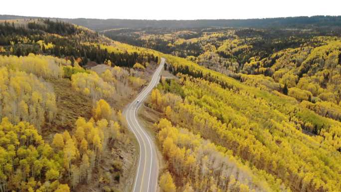 科罗拉多州西部大梅萨国家森林秋季风光4K视频系列