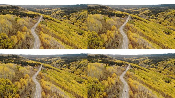 科罗拉多州西部大梅萨国家森林秋季风光4K视频系列