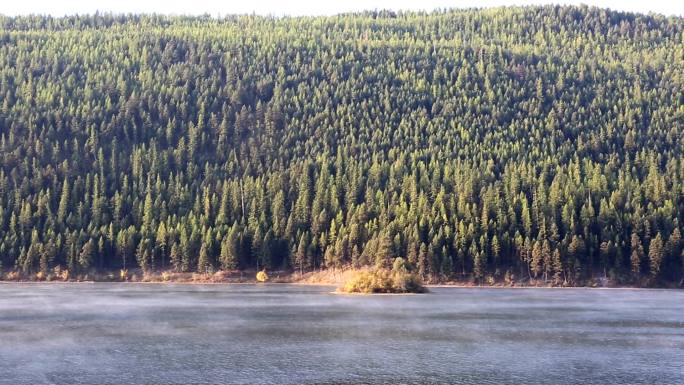山湖晨雾森林河流流动的水