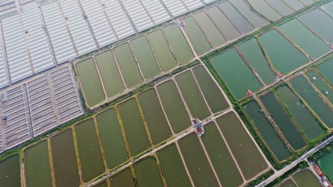 生态环境大型人工养鱼池