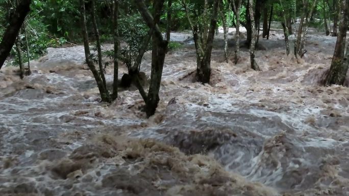 浑水河河水洪水泛滥暴雨过后河水暴涨