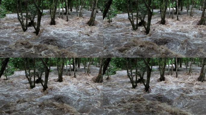 浑水河河水洪水泛滥暴雨过后河水暴涨