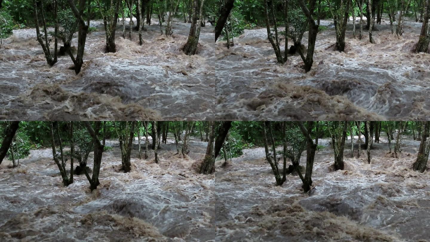 浑水河河水洪水泛滥暴雨过后河水暴涨