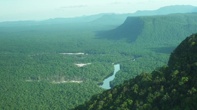 亚马逊森林鸟瞰图。晴天的热带景观