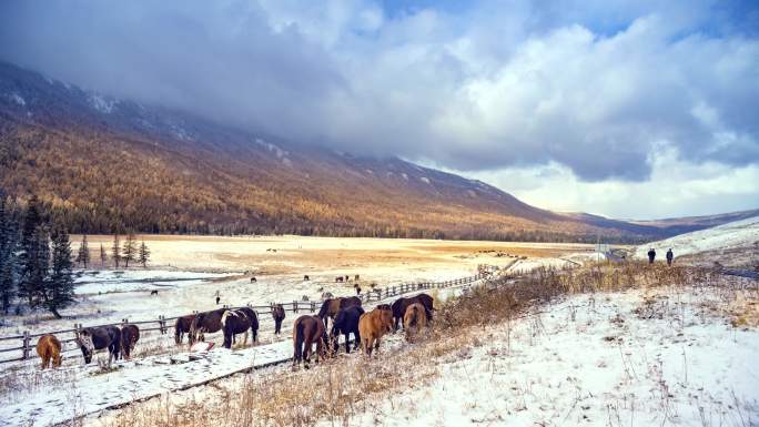 新疆喀纳斯河谷雪景