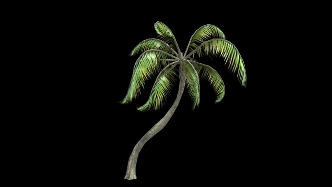 棕榈树动画热带树木热带作物绿植