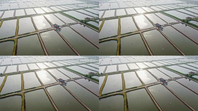 中国大型鱼类虾类水产养殖场