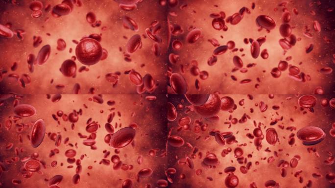 血细胞红血球血小板造血干细胞