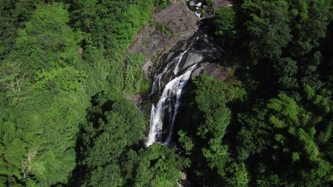 唯美诗意原始森林峡谷山水溪流瀑布