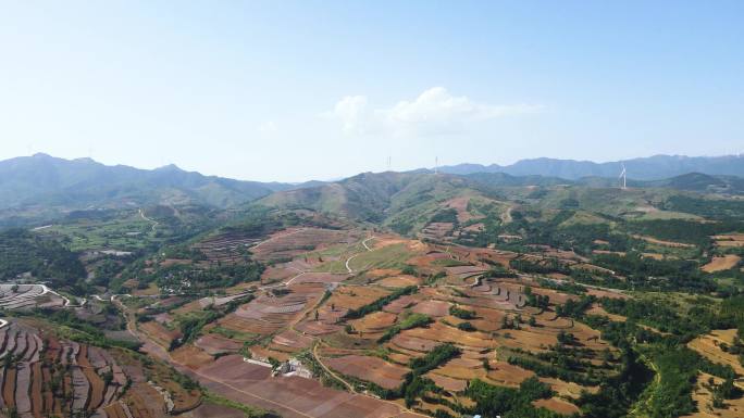 航拍乡村振兴产业苹果种植基地B