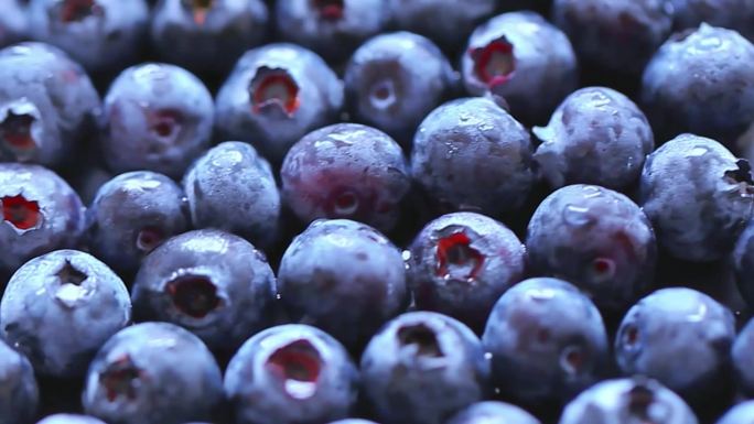 健康水果蓝莓视频素材
