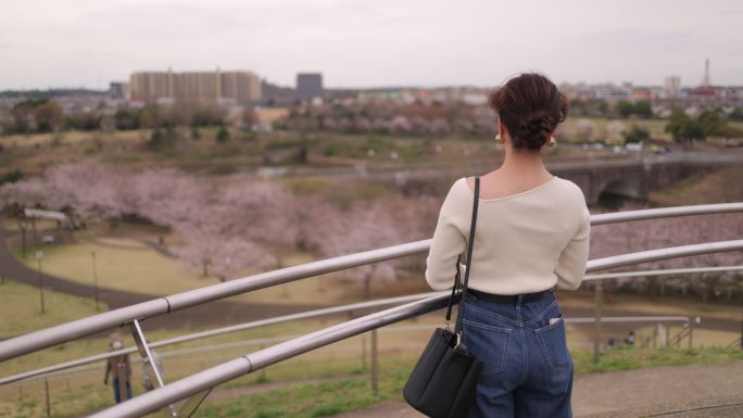 从公园看风景的年轻女子的后视图