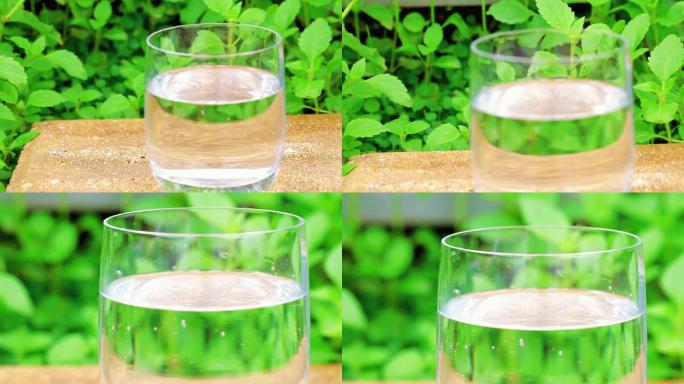 水杯与水绿色大自然融为一体
