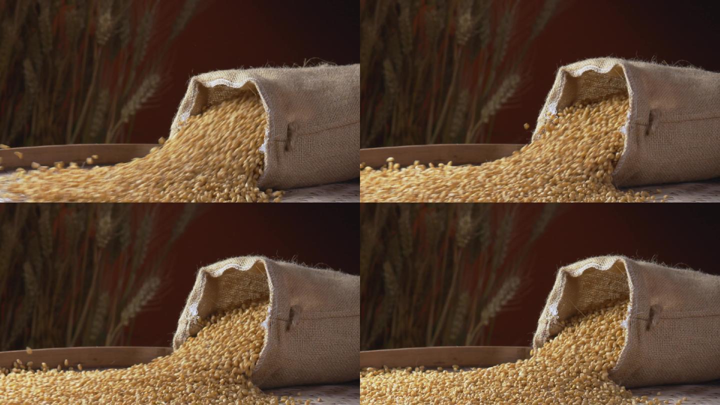 小麦从麻袋中涌出
