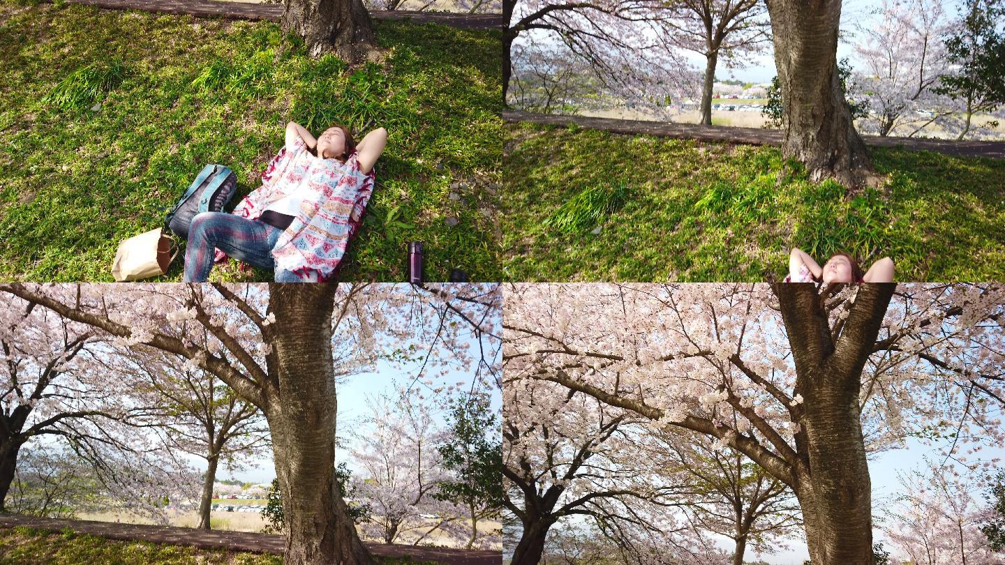 躺在樱花树下草地上的女人倾斜着