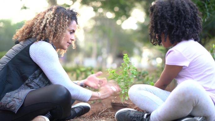 母女俩在黑土上栽种小树作为拯救世界的理念