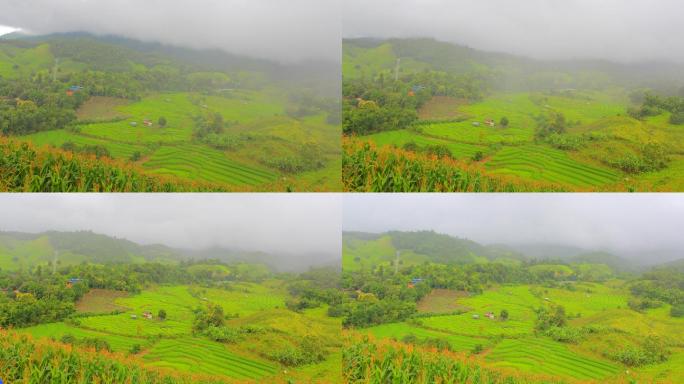 泰国清迈Mae Jam村的稻田Pa Pong Piang rice terraces的梯田和房屋随时