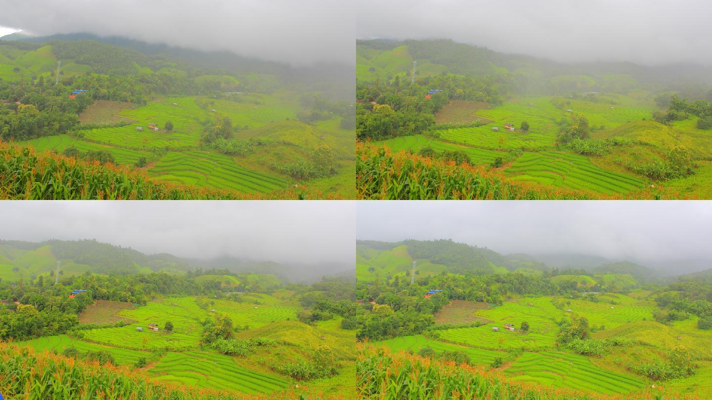 泰国清迈Mae Jam村的稻田Pa Pong Piang rice terraces的梯田和房屋随时