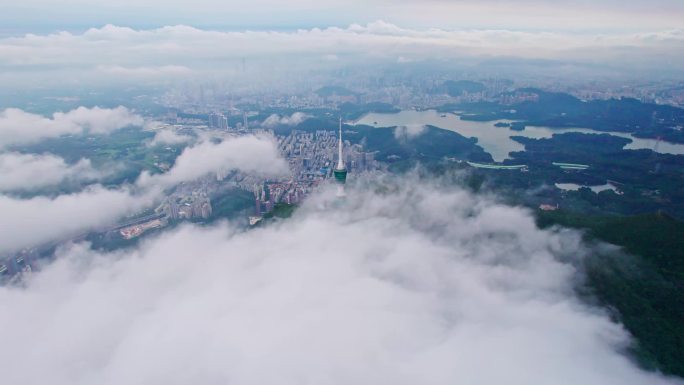 深圳全景