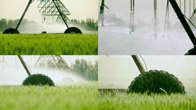 小麦农田喷灌设施
