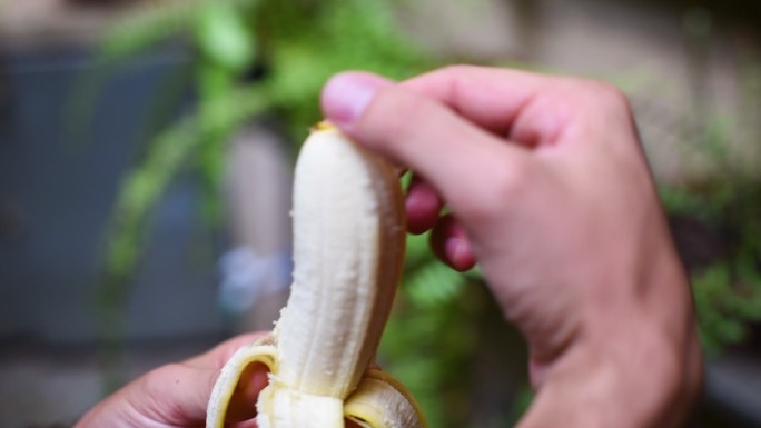 剥香蕉皮吃香蕉下午茶