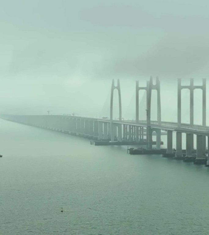 竖屏航拍泉州跨海大桥