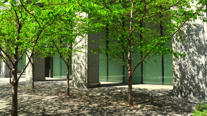 现代办公楼和树木写字楼中庭广场树影