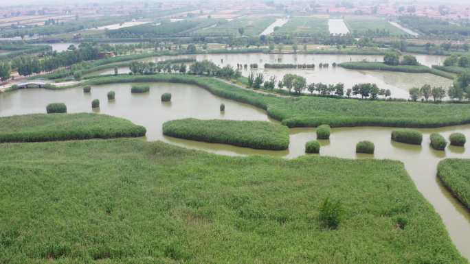 山东桓台县马踏湖国家湿地公园