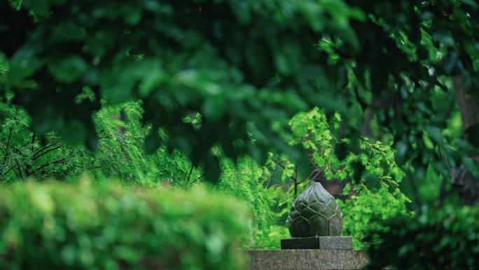 【正版素材】泉州开元寺禅意听雨C0427