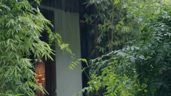 实拍连绵阴雨天庭院里的惬意场景