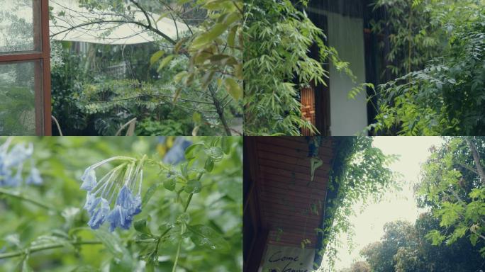 实拍连绵阴雨天庭院里的惬意场景