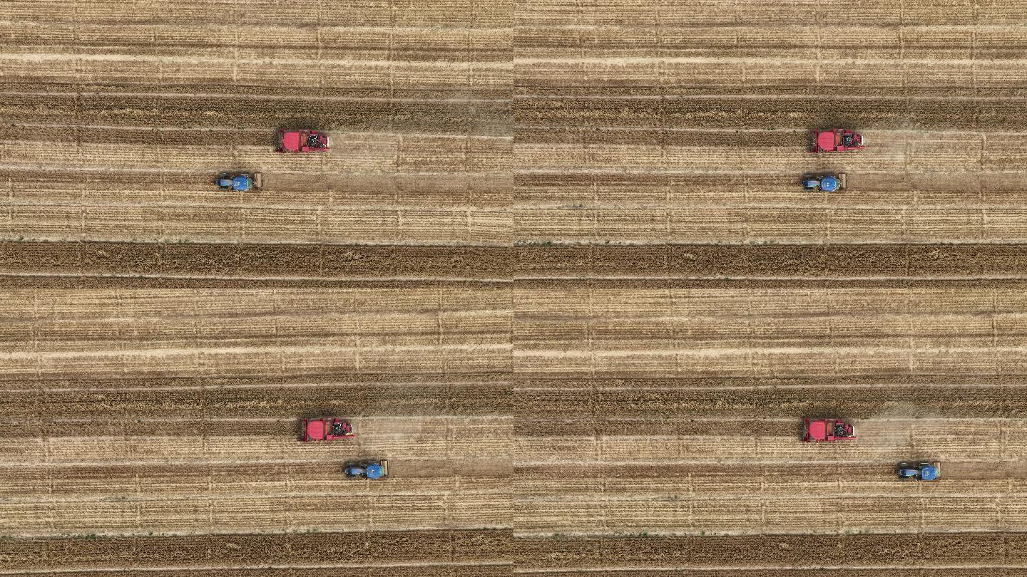 麦田收割机航拍农民丰收的场景机械化种植