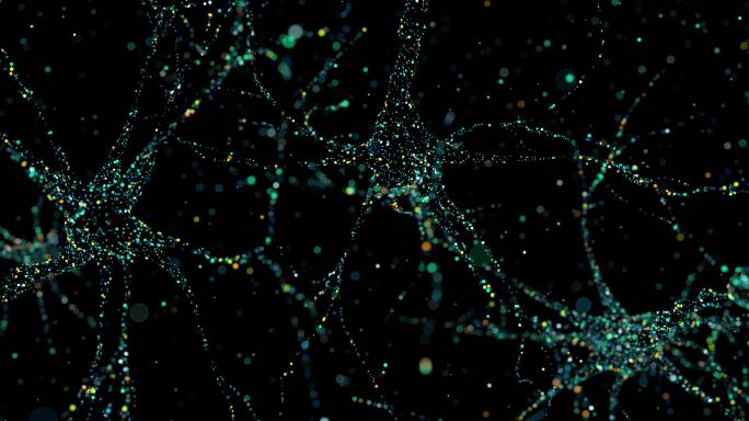 有多个轴突的神经元的细胞核