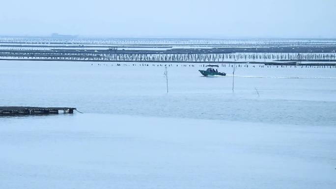 海湾渔农生产出海开发创意宣传