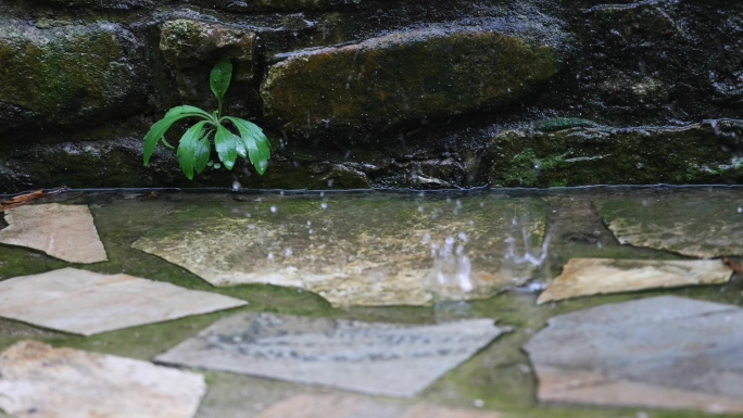 屋檐下山中树林大雨升格拍摄