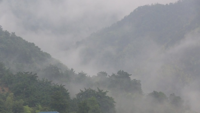 江南浙江诸暨赵家香榧雨天下雨云雾山谷雨雾