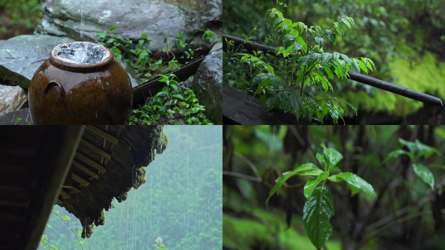 大熊山大自然原始森林夏天湿润雨季雨水木屋