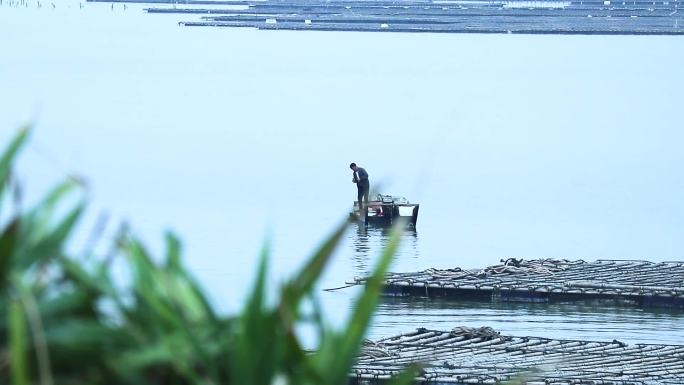 渔农生产环境保护生态宣传片