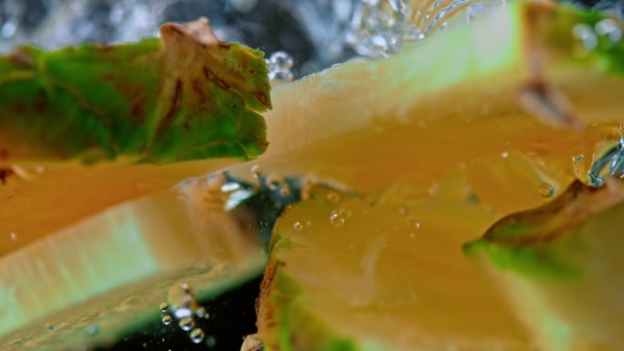 菠萝片掉入水中养生膳食健康运动健身食补食