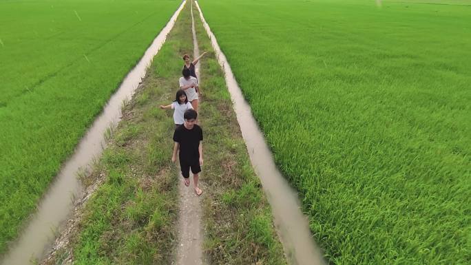 亚裔华人一家人在绿色稻田中享受假期