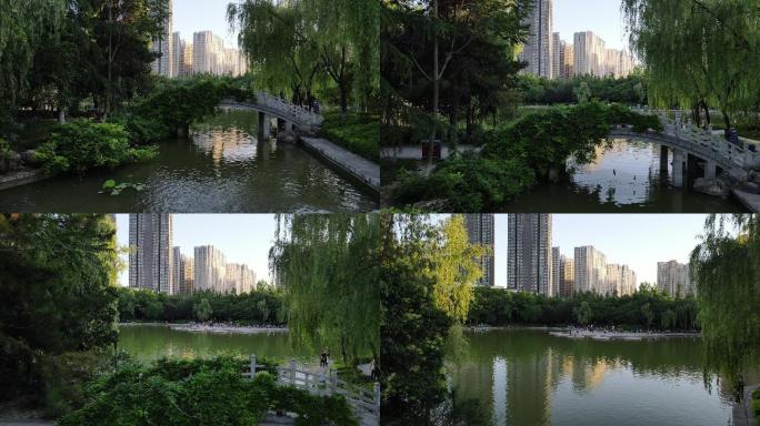 西安丰庆公园城市居民广场舞一镜穿越4