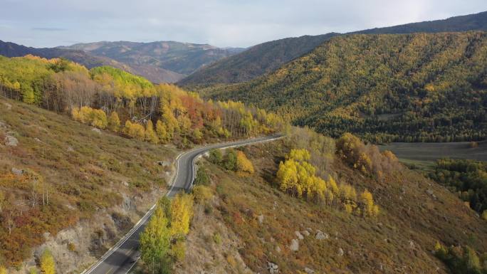 新疆阿勒泰禾木秋天山谷公路自然风光航拍