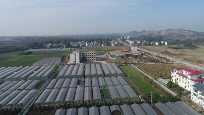 宜春美丽乡村 农业蔬菜基地航拍 乡村