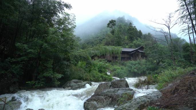 4K大自然森林河流洪水夏天湿润雨水木屋