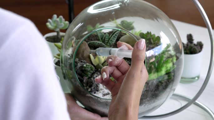 当他正在用他的多汁植物制作一个玻璃器皿来装饰时，影响者用他的光环和手机与他的追随者交谈
