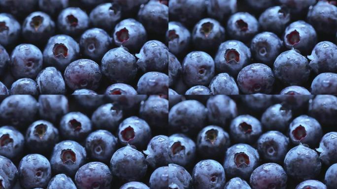 精品水果蓝莓视频素材