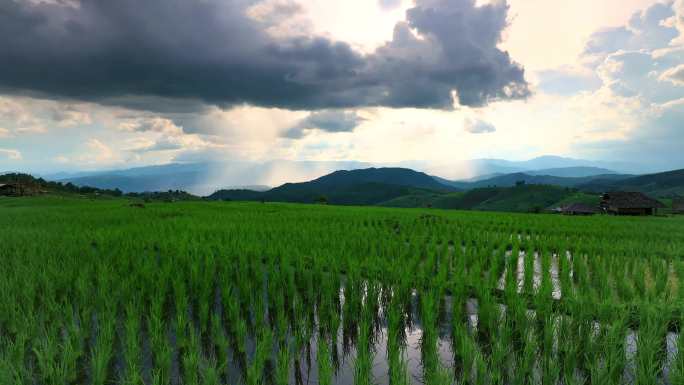 泰国清迈巴邦片水稻梯田的水稻梯田和山脉上的雨和风暴云。4K（UHD