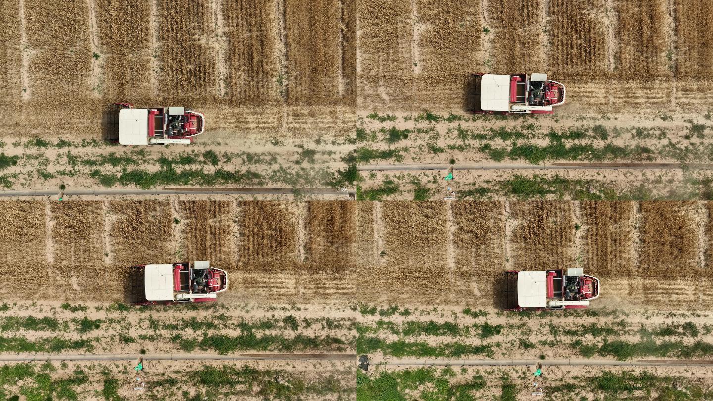 麦田收割机航拍农民丰收的场景机械化种植